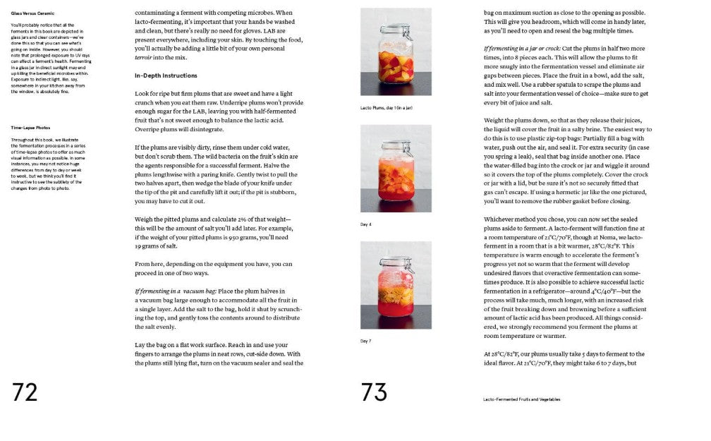 The NOMA Guide to Fermentation