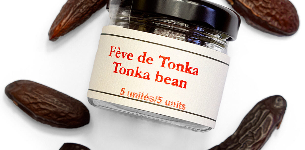Tonka Beans (5) - Epices de Cru