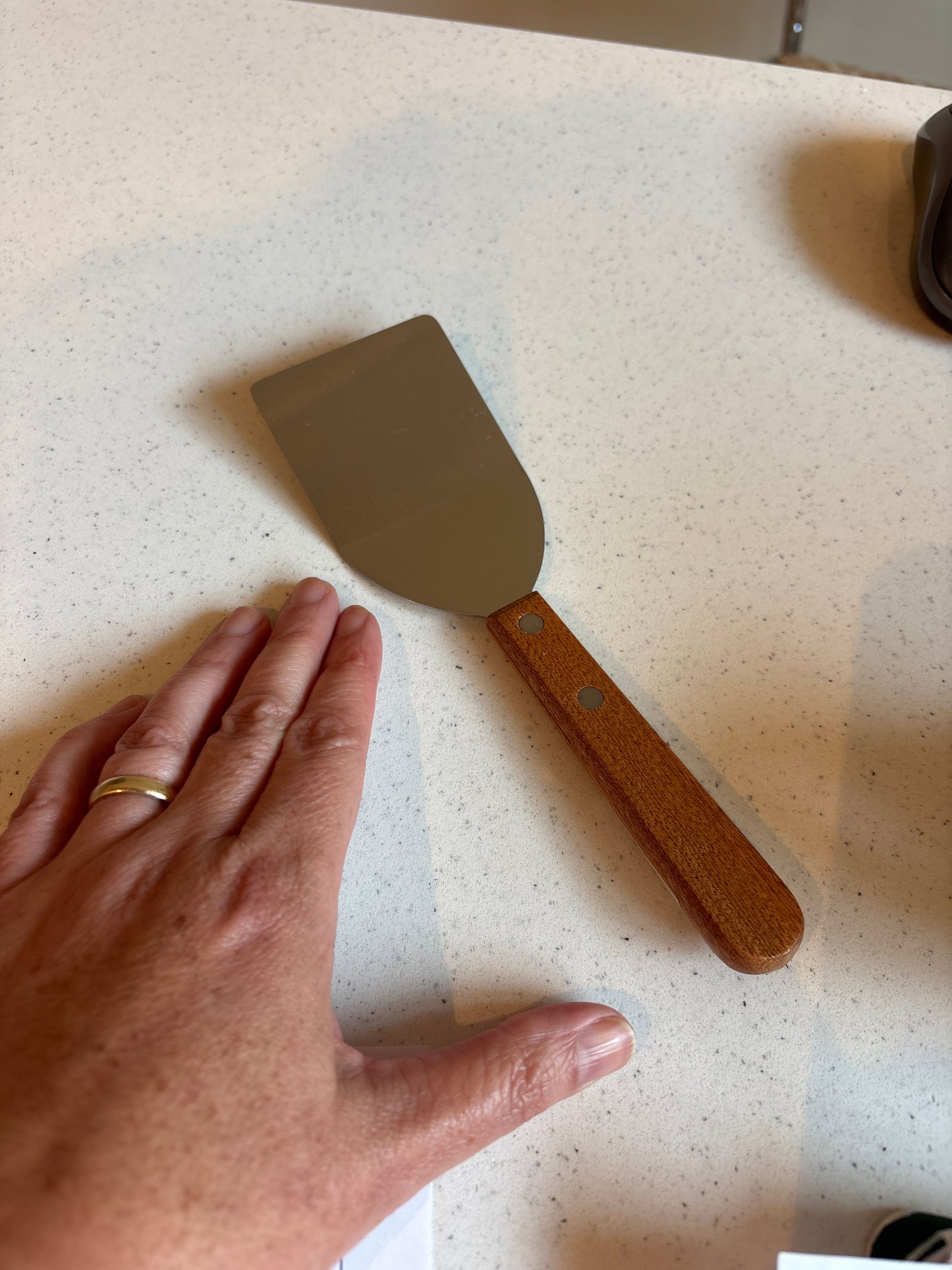 Mini Scraper with Wood Handle