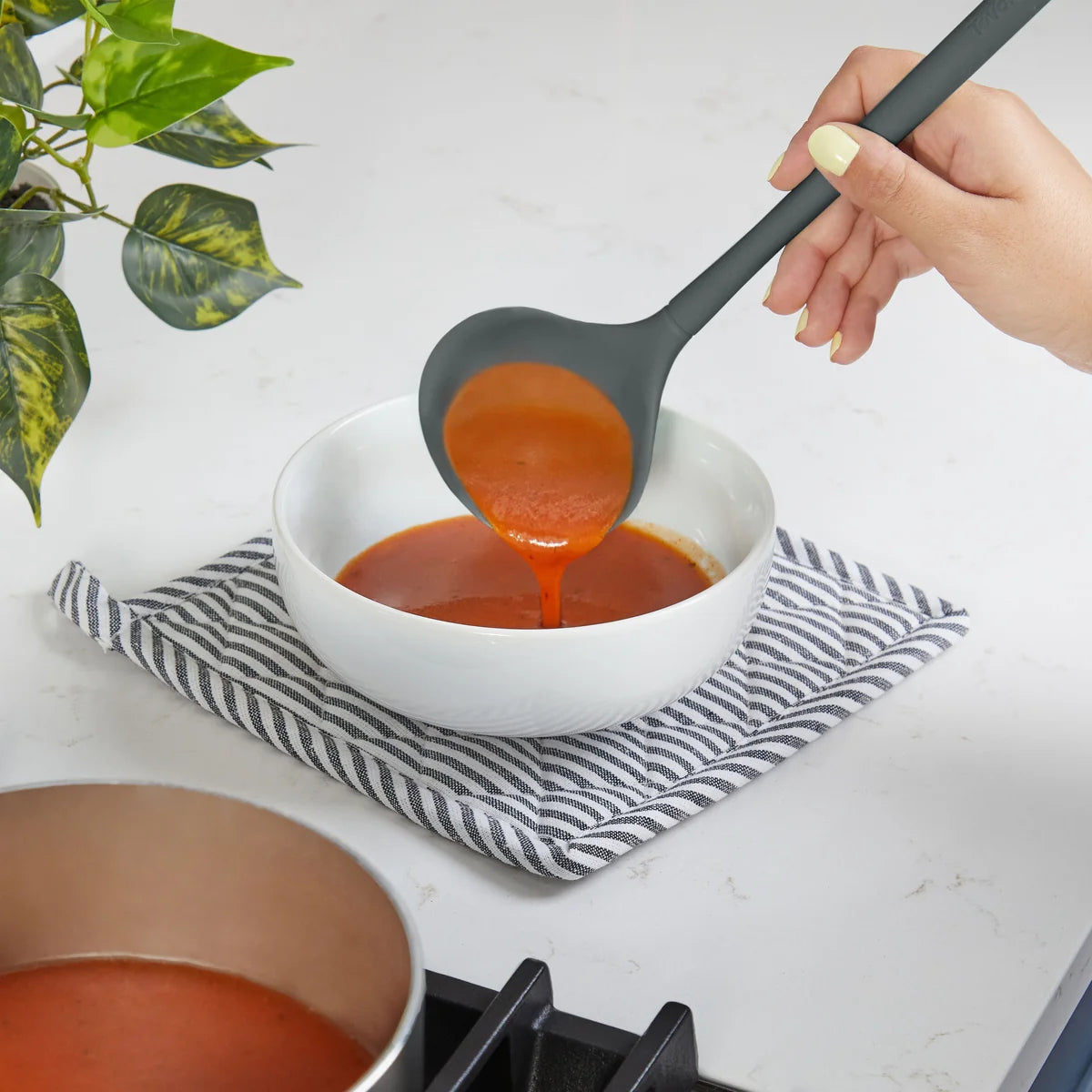 Flex-Core Ladle