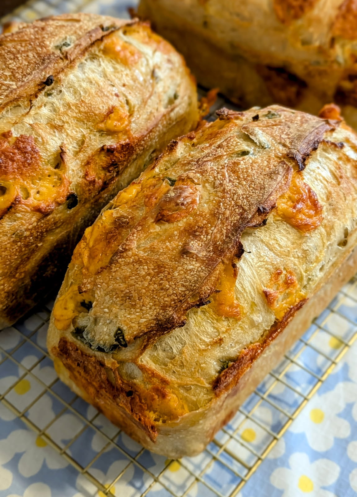Sourdough 201 - INTERMEDIATE SOURDOUGH - Hands-On Class - June 14th