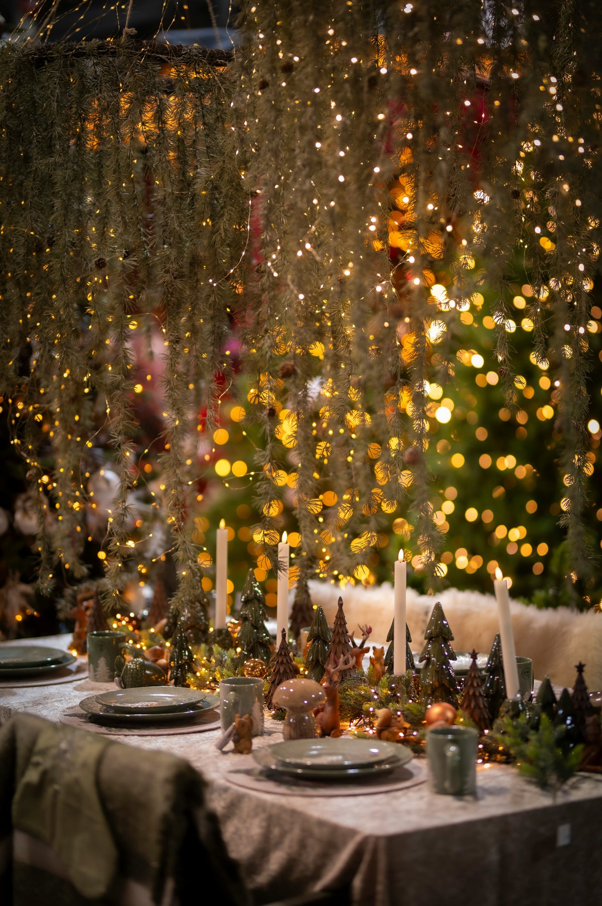Impress for Less: Dinner Party on a Budget  - Thursday December 10th, 6pm to 8pm