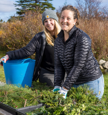 Holiday Table Arrangement - December 14th