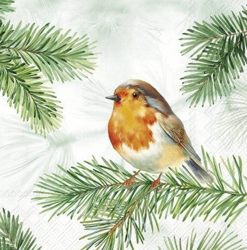 Cocktail Napkin - Charming Robin - Green