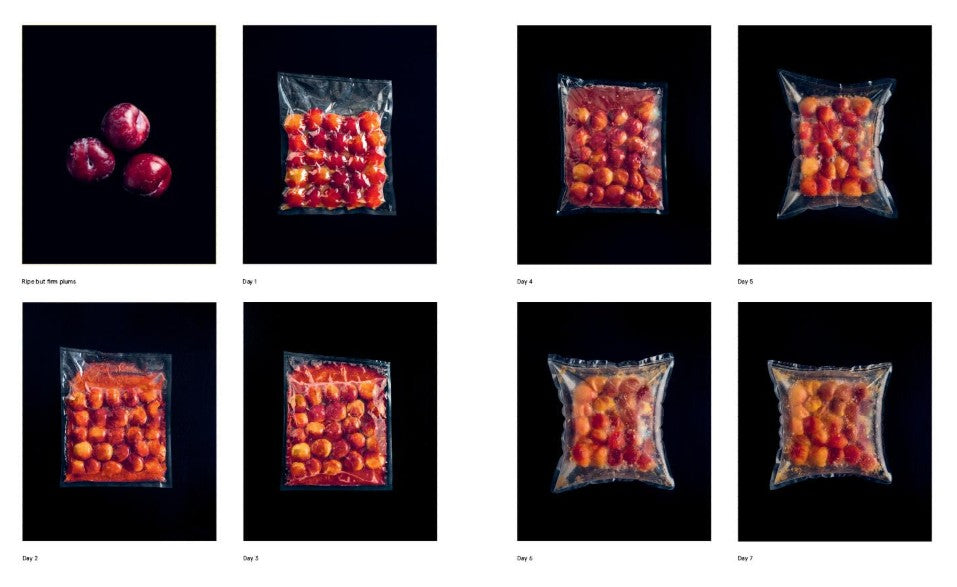 The NOMA Guide to Fermentation