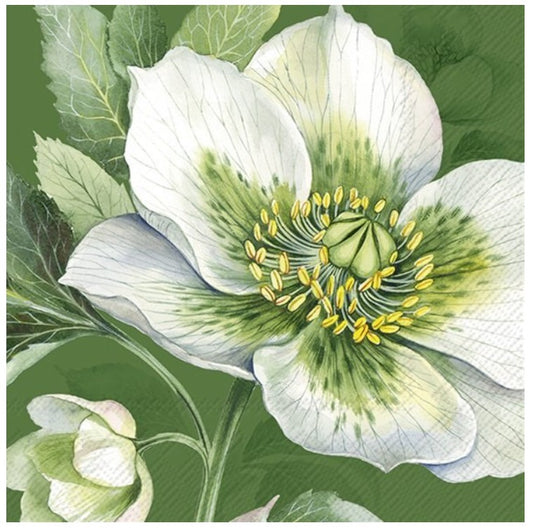 Lunch Napkin - Elegant Christmas Rose (GREEN)