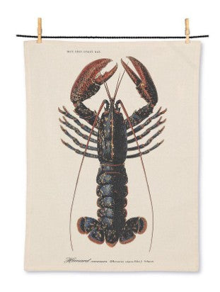 ABBOTT - Textbook Lobster Kitchen Towel