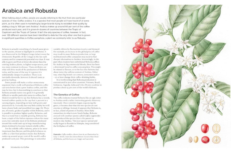 The World Atlas of Coffee
