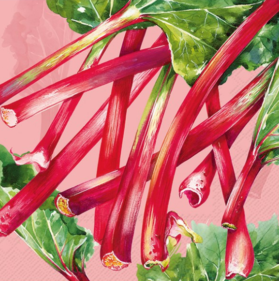 Lunch Napkin - Rhubarb